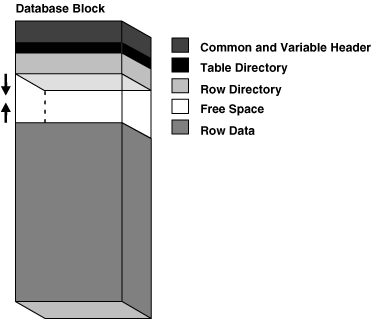 Description of 