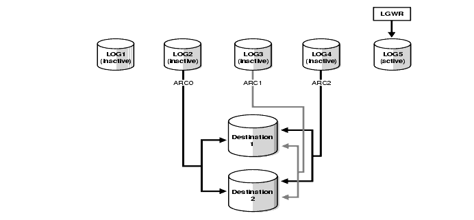 Text description of archreda.gif follows.