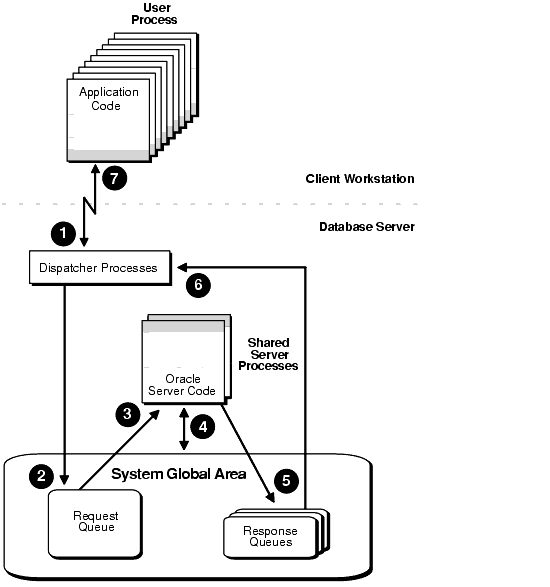 Text description of manproca.gif follows.