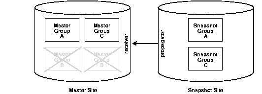 Text description of rep81068.gif follows.