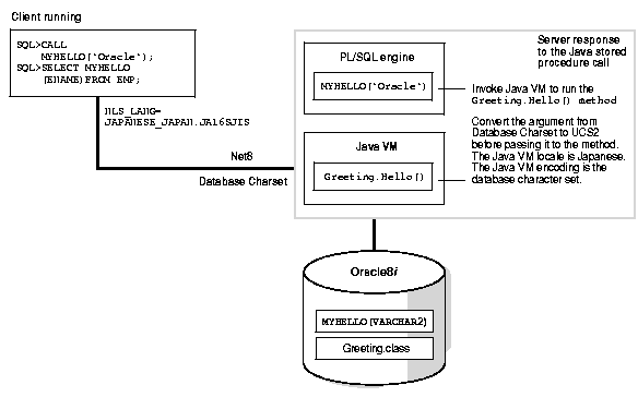 Text description of nls81013.gif follows.