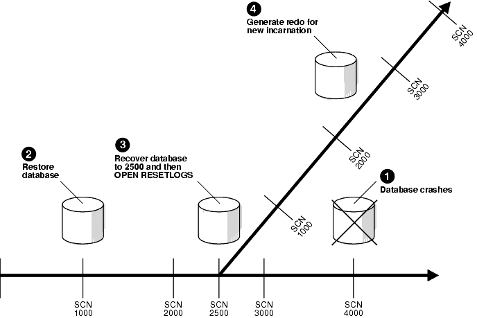 Text description of performa.gif follows.